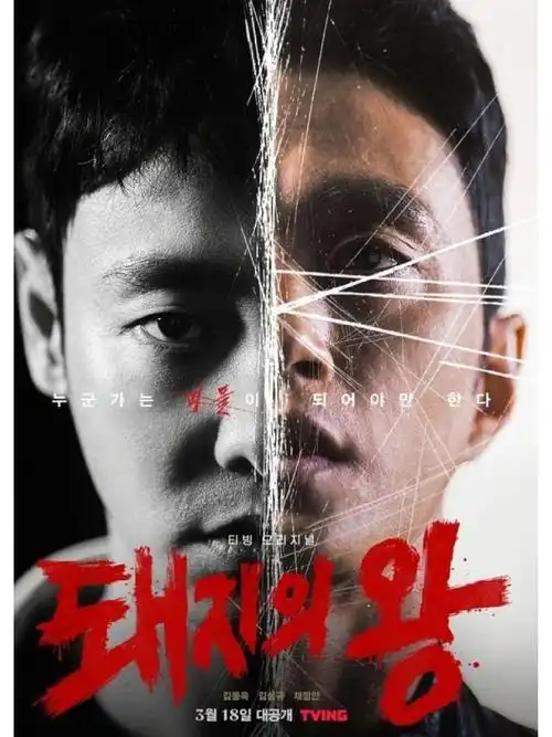 王牌对王牌综艺海报-极兔影视高清播放